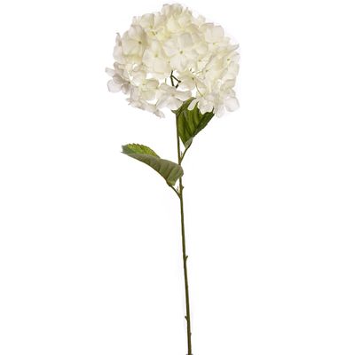 Hydrangea creme 70 cm