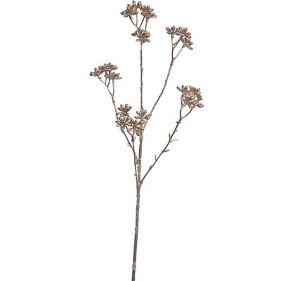 Anis étoilé 62cm champagne