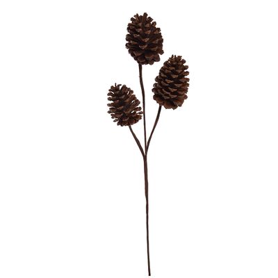 Branche de cône de pin 55cm brun