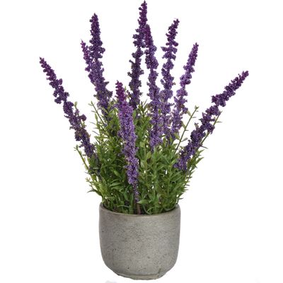 Lavendel lavendelkleurig cementpot 35 cm