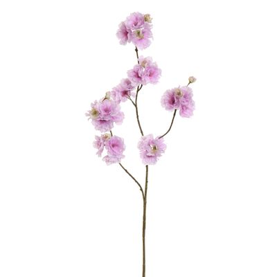 Fleur de cerisier kanzan lilas