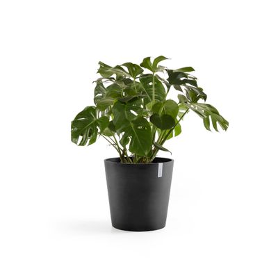 Pot de fleurs amsterdam 60 