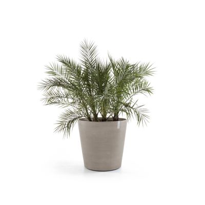 Amsterdam wheels 60 pot de fleurs 
