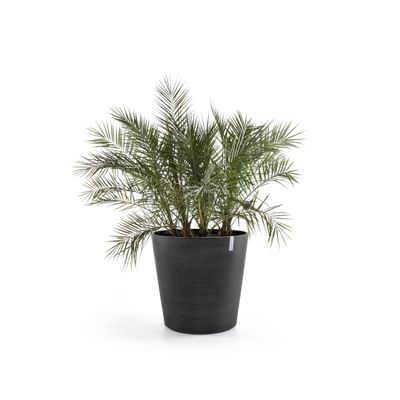 Amsterdam wheels 60 pot de fleurs 