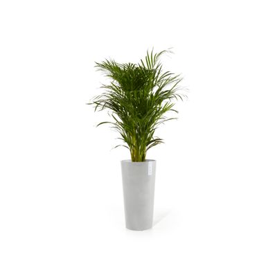 Pot de fleurs amsterdam high 76 