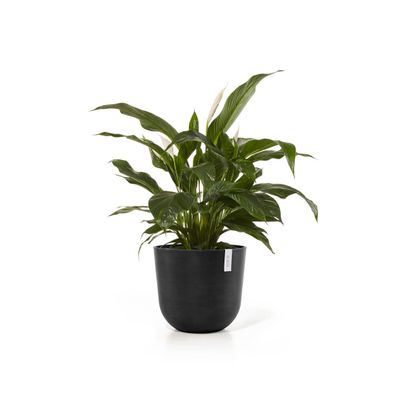 Pot de fleurs oslo 45 