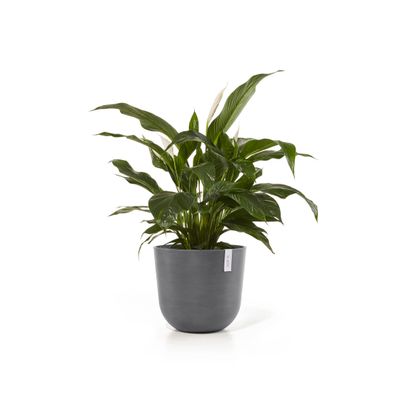 Pot de fleurs oslo 45 