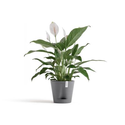 Venice 2 20 pot de fleur 