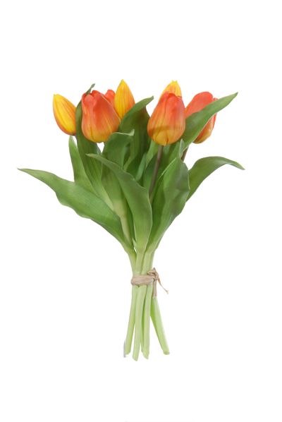 Bouquet de tulipes orange