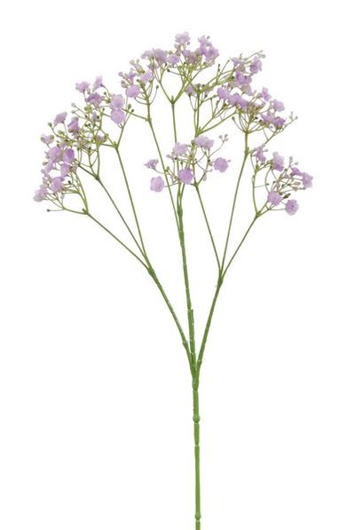 Gypsophila l70cm lila