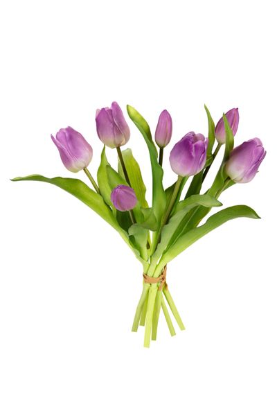 Bouquet de tulipes lila