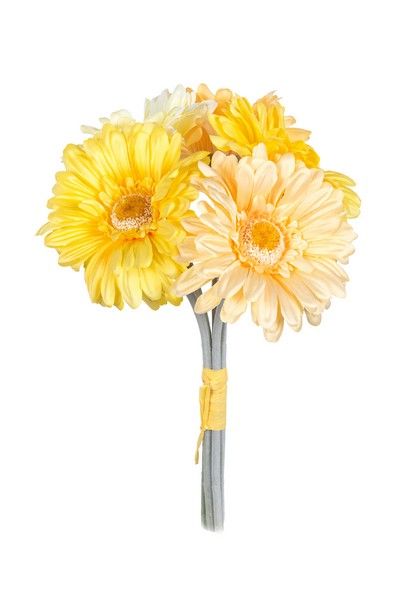 Gerbera bundel h36cm