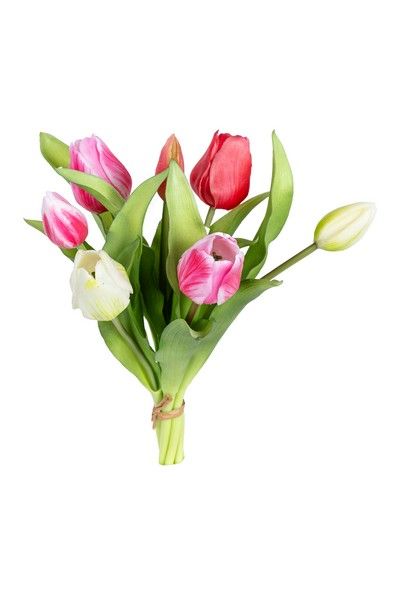 Tulpenbundel h30cm roze/wit mix