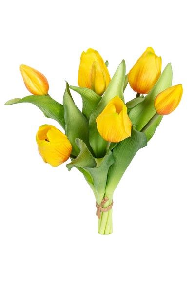 Tulpenbundel h30cm geel