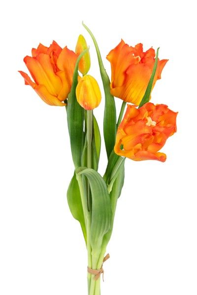 Tulpenbundel h40cm oranje