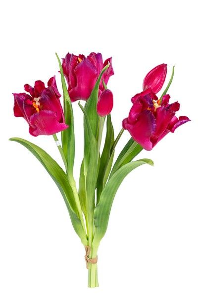 Tulpenbundel h40cm magenta