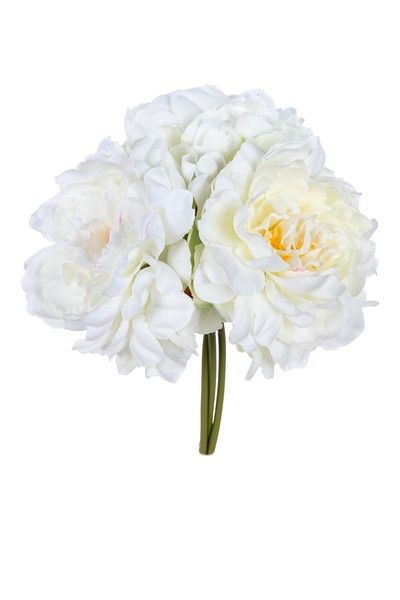 Pioen bundel h27cm wit