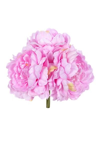 Pioen bundel h27cm roze