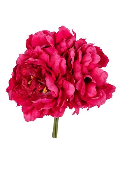 Pioen bundel h27cm cerise