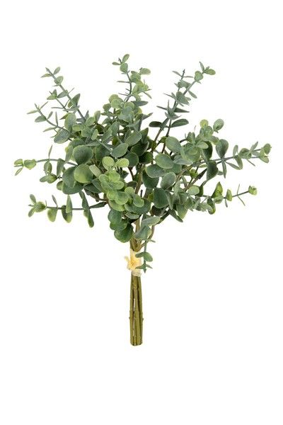 Eucalyptus bundel h38cm groen