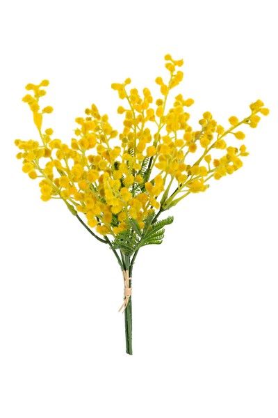 Mimosa bundel h32cm geel