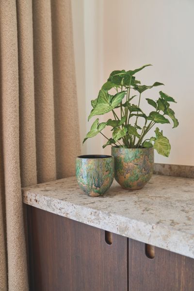 POT D44 ARRAY GRASGR