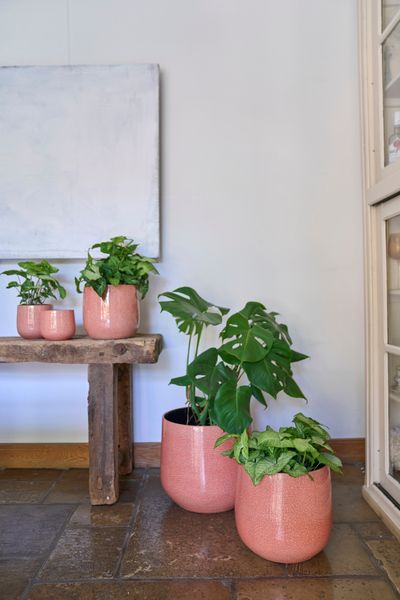 POT D26 ORIGIN KORAAL