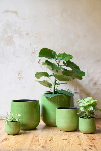 POT D35 ORIGIN GRASGROEN