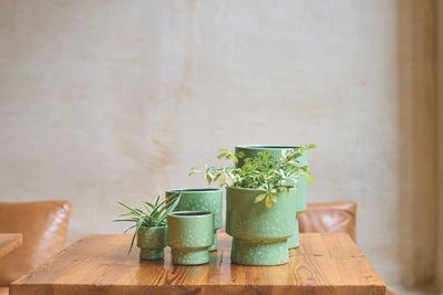 ORCHIDEEPOT D15 MOON GRASGRO