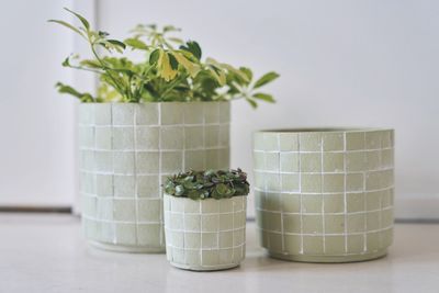 MINIPOT D8 METRIC PISTACHE