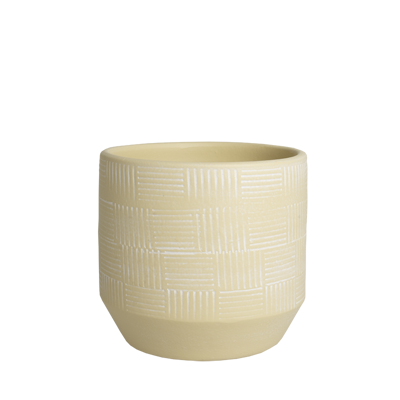 Olive OLIVE Pot orch D14