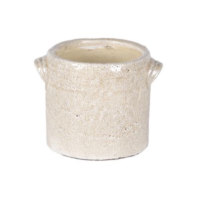 Grote orchidee pot dune