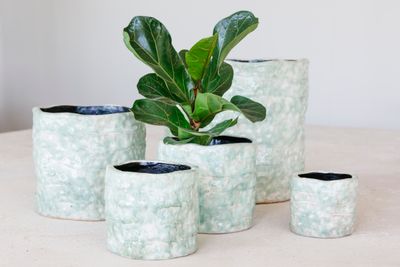 Grand pot orchidée reef