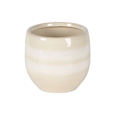 Orchidee pot saffron