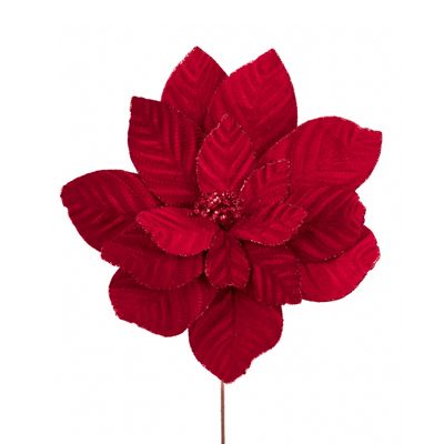 Poinsettiatak