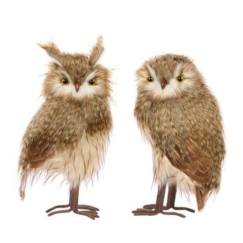 Hiboux duveteux par 2