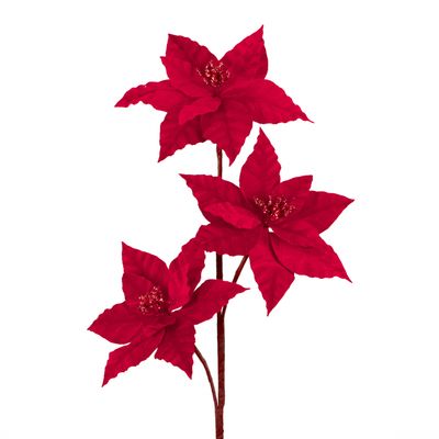 Poinsettiatak