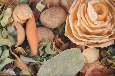Potpourri