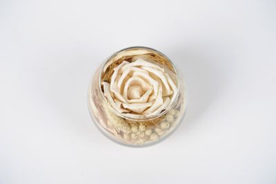 Fleur séchée dans vase en verre