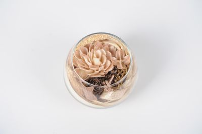 Fleur séchée dans vase en verre