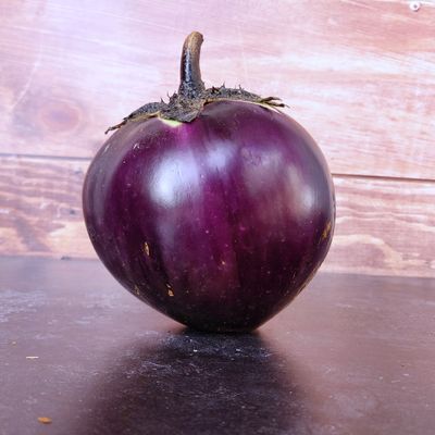 Zaden: aubergine ronde de valence