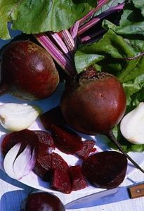 Semences: betterave rouge globe