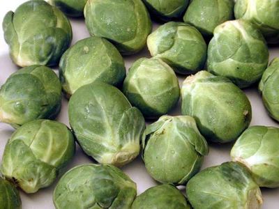 Zaden: spruitkool groninger