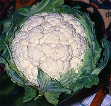 Zaden: bloemkool neckarperle