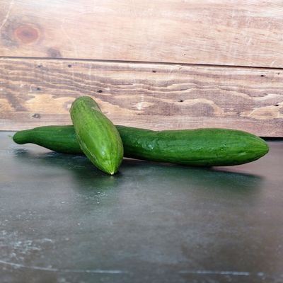 Zaden: komkommer rollison's telegraph