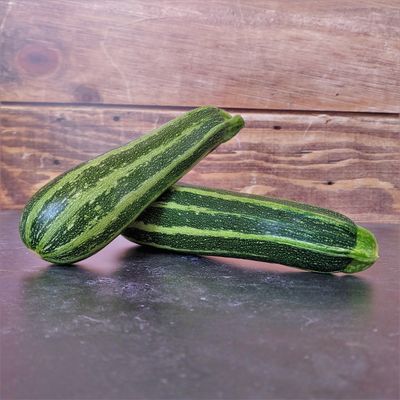 Zaden: courgette verte d'italie