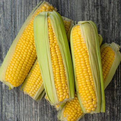 Zaden: zoete maïs golden bantam