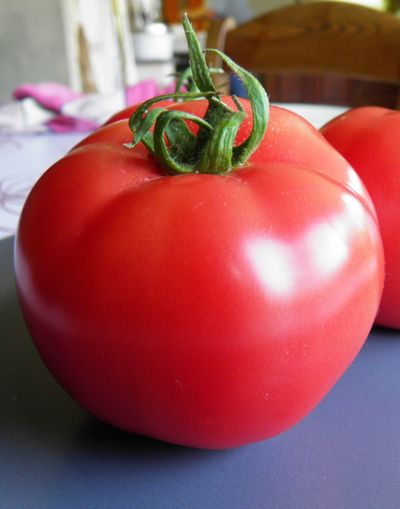 Zaden: tomaat rose de berne