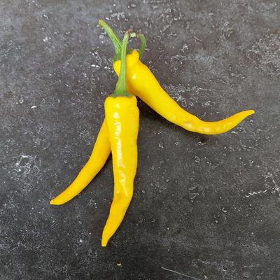 Zaden: cayenne-peper geel