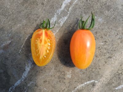 Zaden: tomaat blush